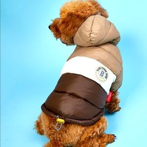 Cute Dog Coat